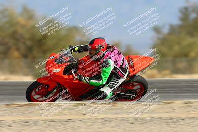 media/Jan-19-2024-Apex Assassins-CVMA Friday (Fri) [[74e94f2102]]/Trackday 1/Session 3 Turn 3 Inside Speed/